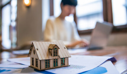 model home on desk top