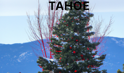 Christmas tree in Tahoe on the beach